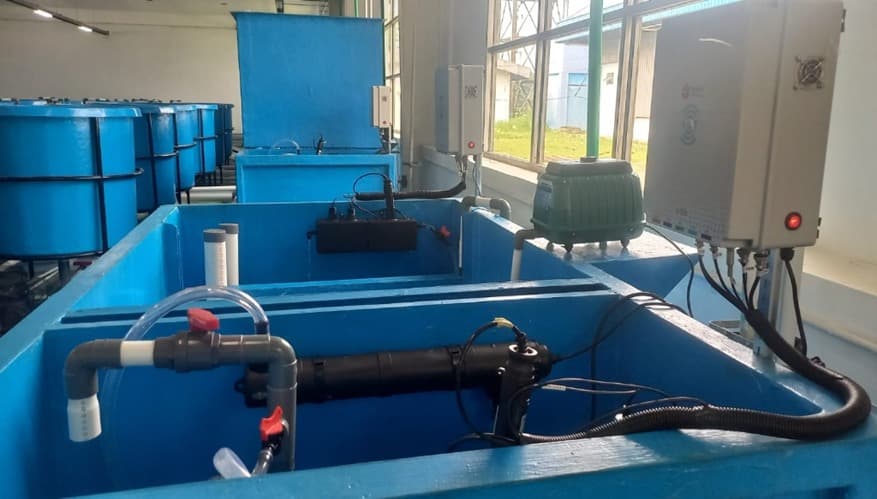 BluesandAI RAS filtration and control hardware in a live deployment